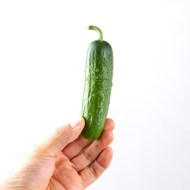 [굿파머] 미니오이 500g