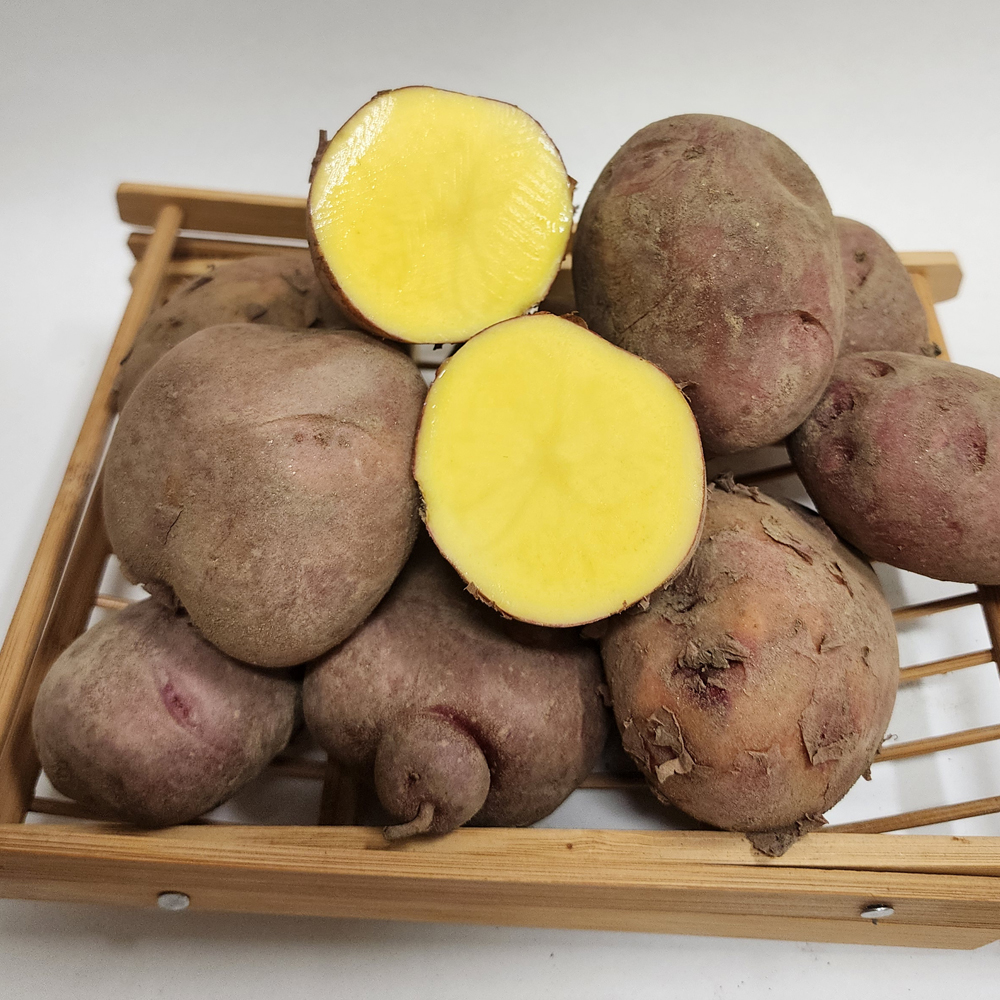 [클래식농원] 국내산 괴산 홍감자 대왕 3kg / 5kg / 10kg