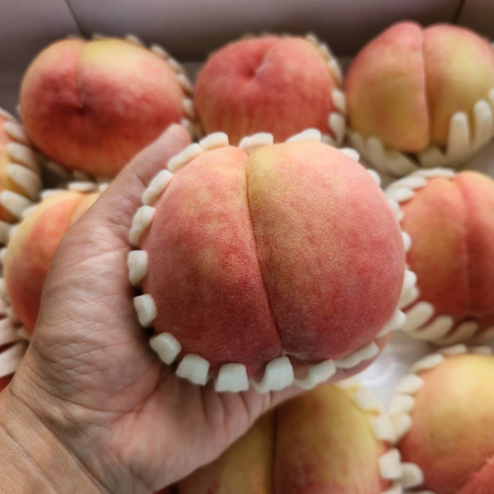 [대한농부] 딱딱이복숭아 2kg / 4kg