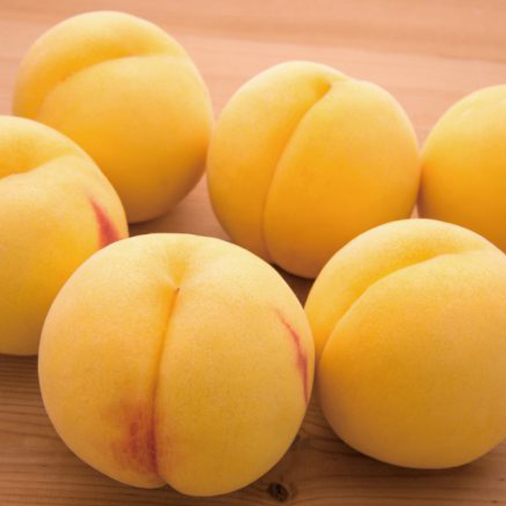[건양농가] 털복숭아 황도 4kg