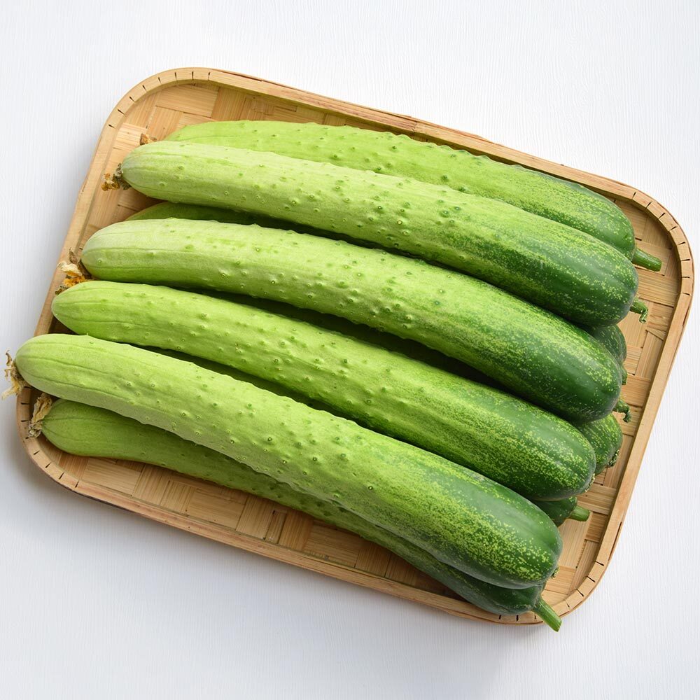 [굿파머] 국내산 백오이 1kg ~ 10kg