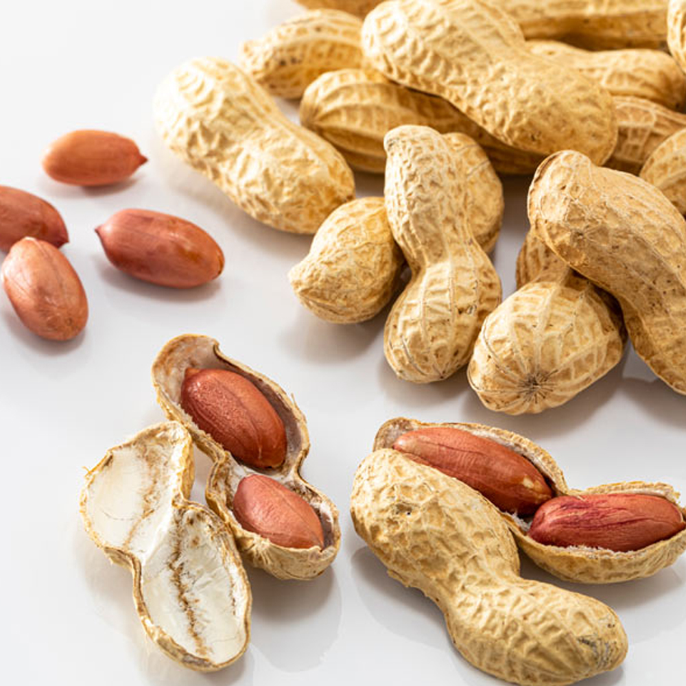 [건양농가] 국내산 하우스 햇 피땅콩 500g / 1kg / 2kg / 3kg