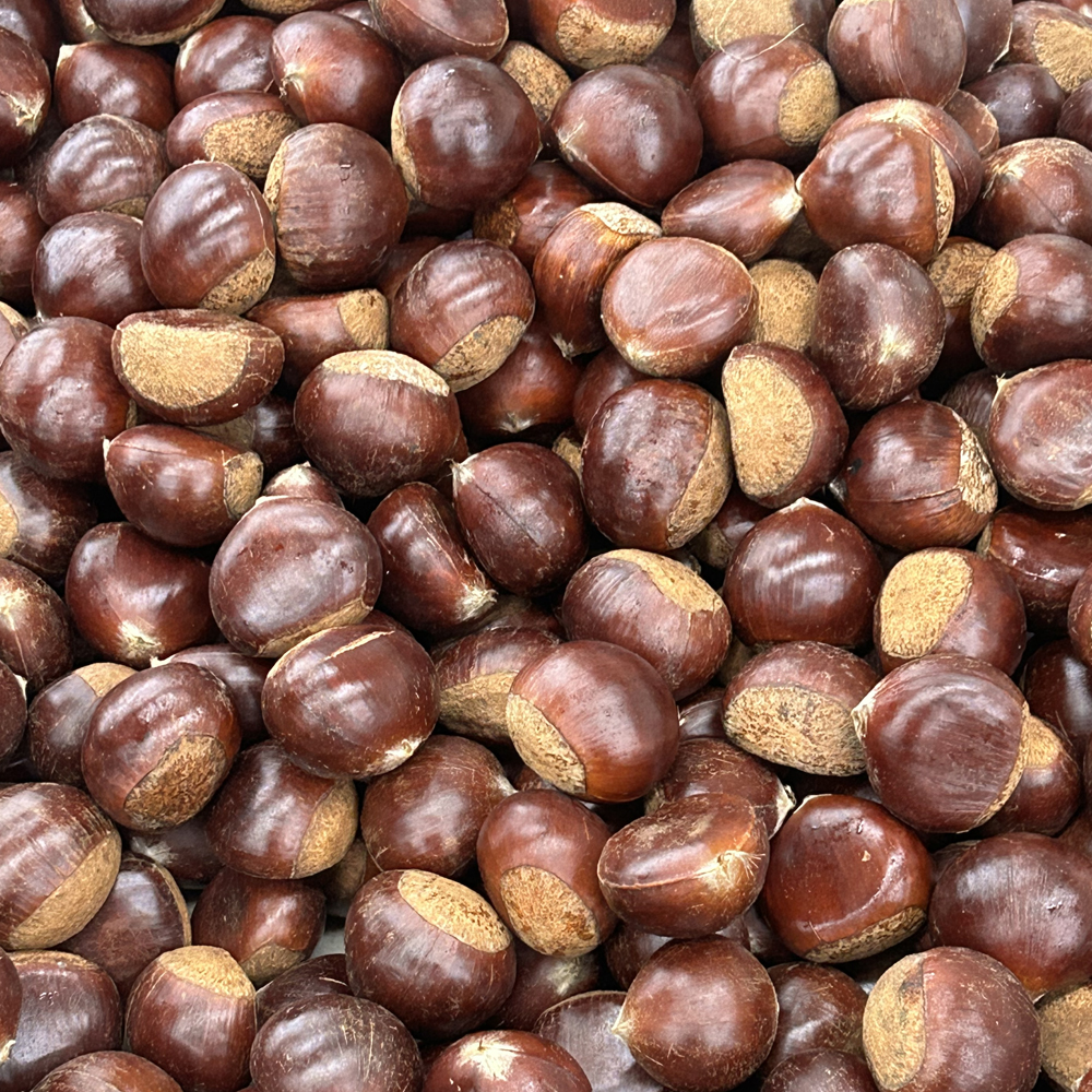 [건양농가] 햇 유기농 밤 1kg(대)